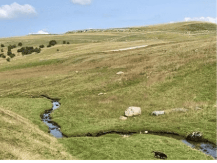 Green Hills Image