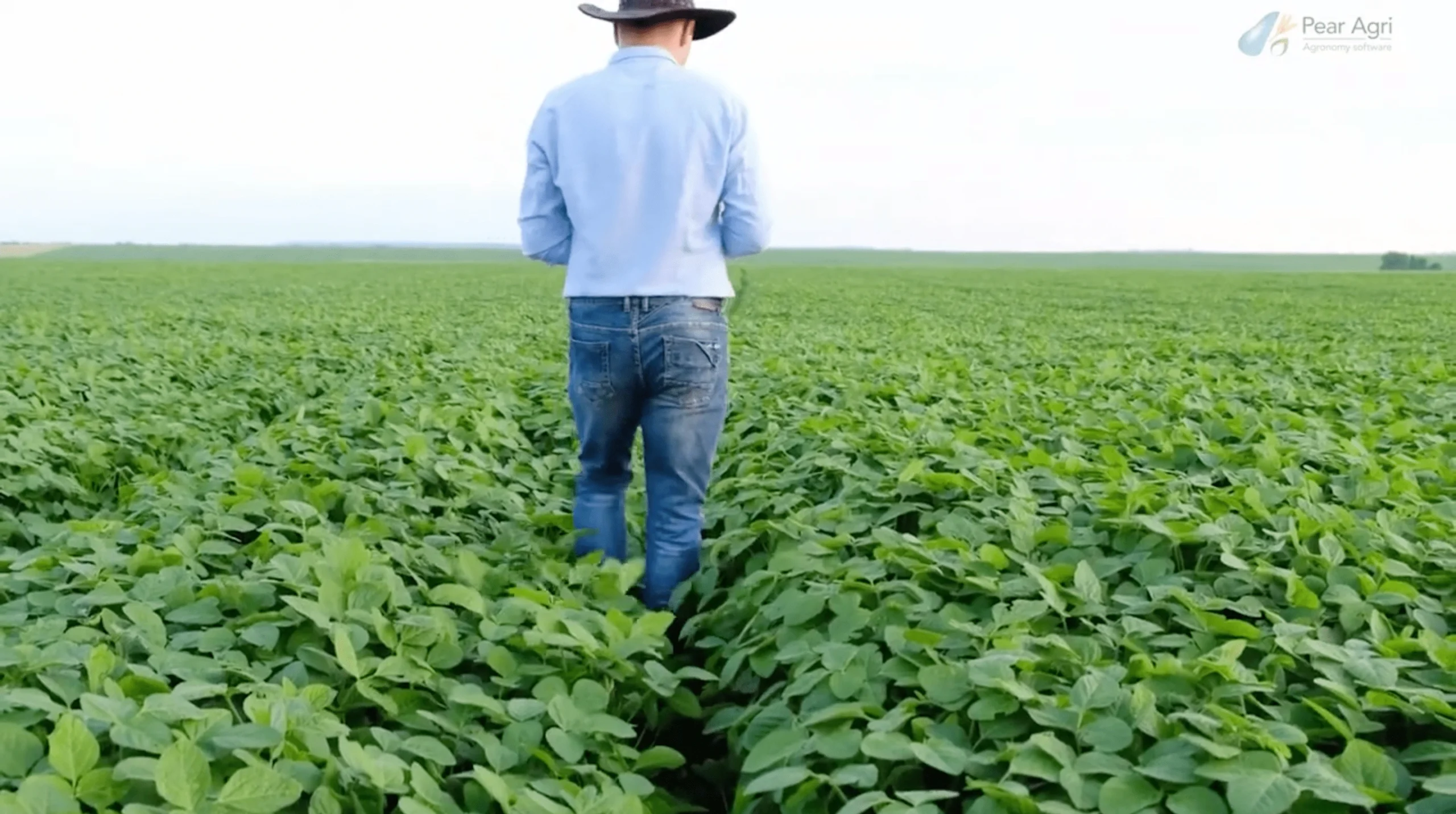 Farmer walking away image